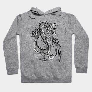 dragon Hoodie